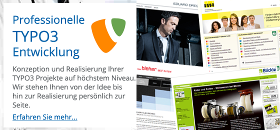 TYPO3 Entwicklung